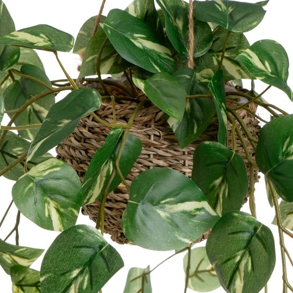 Изкуствени растения в комплект от 2 бр. (височина 50 cm) – Casa Selección-image-1