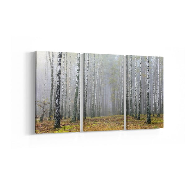 3-dílný obraz Birch, 30 x 60 cm