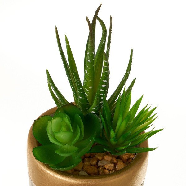 Изкуствени растения в комплект от 4 броя (височина 17 см) Cactus - Casa Selección-image-2