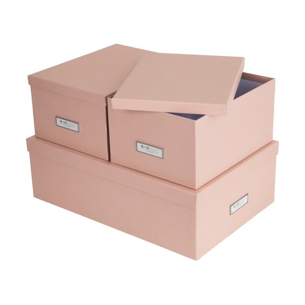 Картонени кутии за съхранение в комплект от 3 броя с капак Inge - Bigso Box of Sweden