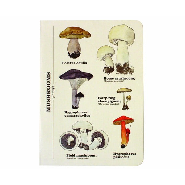 Notebook Multi Mushroom, размер. A6 - Gift Republic