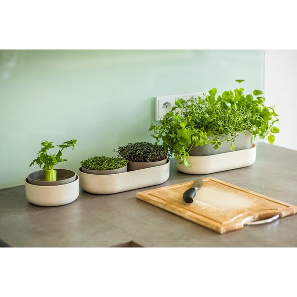 Купа за покълване, ø 16 cm Regrow - Plastia-image-2