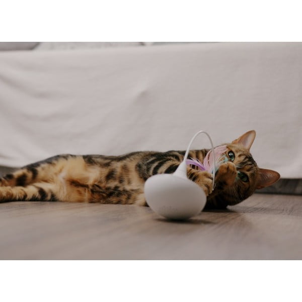 Котешка играчка Epic Pet Interactive – Plaček Pet Products-image-1