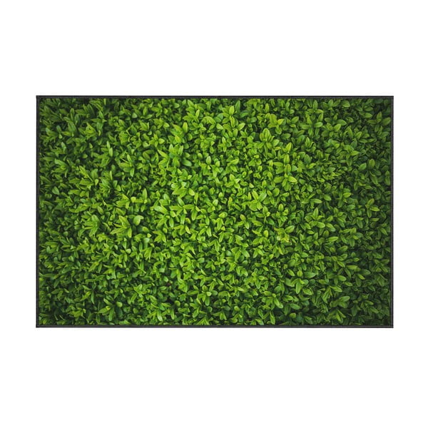 Зелен килим Бръшлян, 100 x 140 cm - Oyo home
