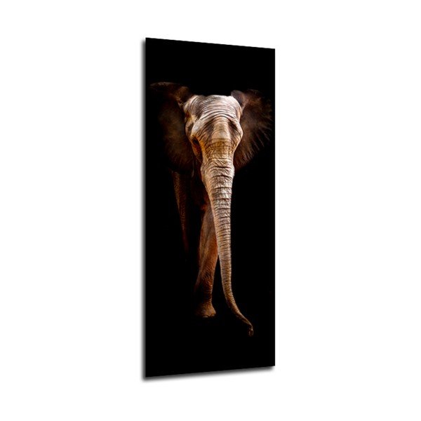 Изображение , 125 x 50 cm Elephant - Styler-image-1