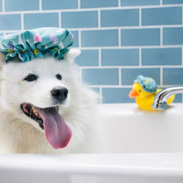 Играчка за куче Bathing cap – P.L.A.Y.-image-2