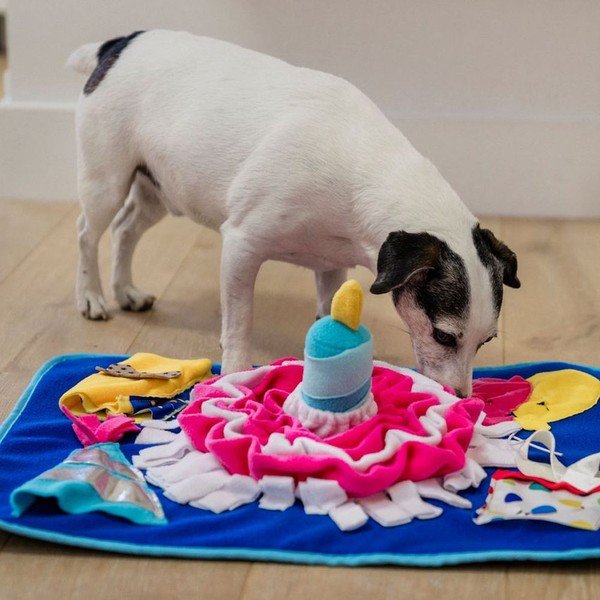 Подожка за обоняние Pawty – P.L.A.Y.-image-1