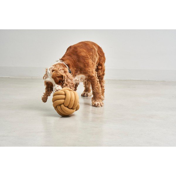 Играчка за куче Tubo Curry – MiaCara-image-1