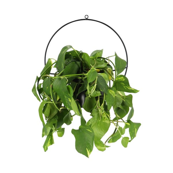 Черен държач за саксии, монтиран на стената Planter - Esschert Design-image-1