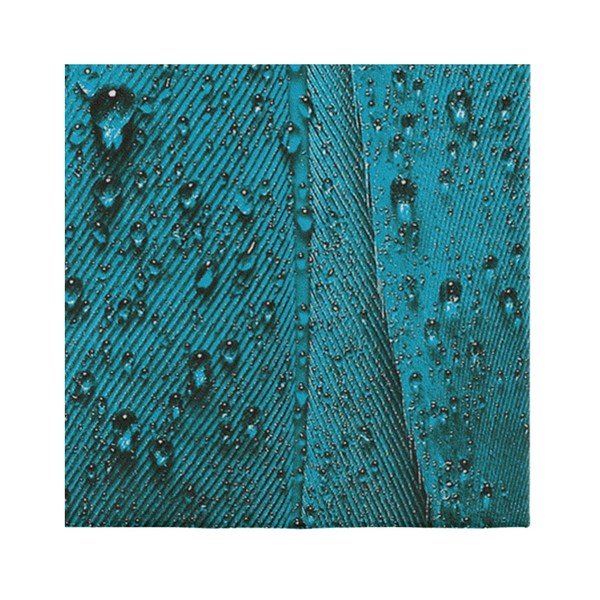 Тюркоазен и лилав килим Suzzo Malamento, 100 x 150 cm - Oyo home-image-3
