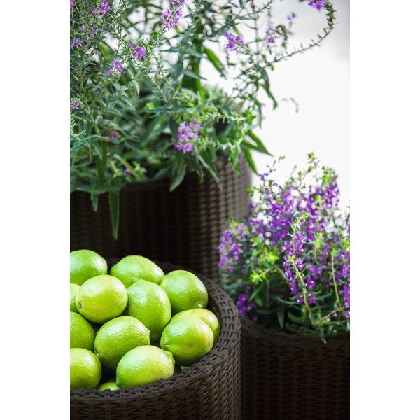 Пластмасови комплект саксии 3 бр. ø 43 cm Cylinder – Keter-image-1