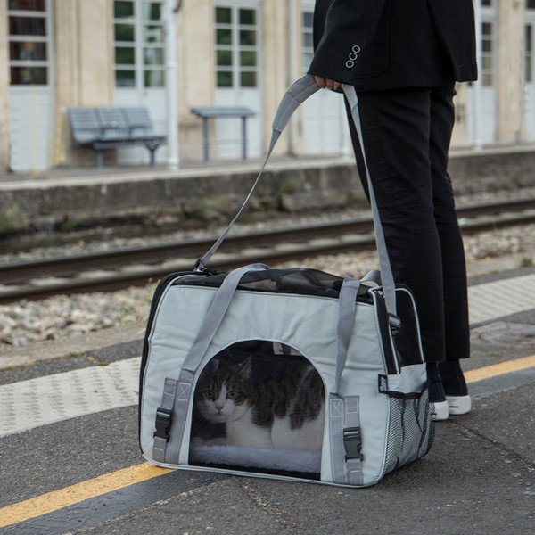 Чанта за транспортиране на домашни любимци 25,5x48 cm – Love Story-image-1