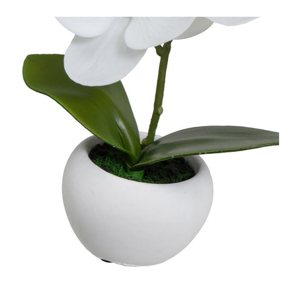 Изкуствени растения в комплект от 3 бр. (височина 15 cm) Orchid – Casa Selección-image-2