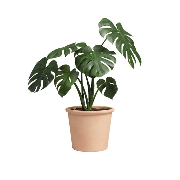 Теракотена саксия за цветя ø 39 cm Saramago Cilindro – Artevasi-image-1