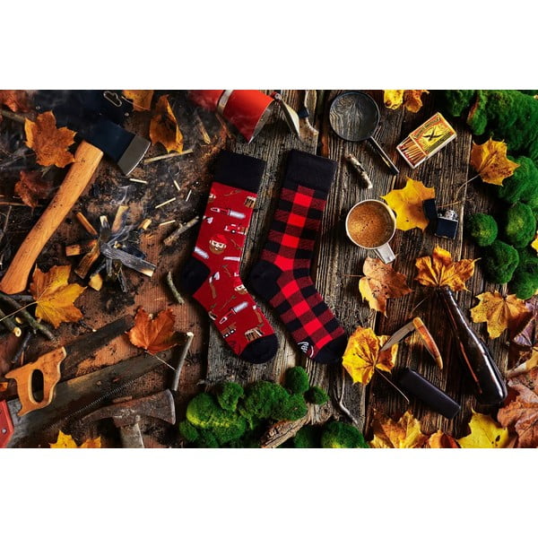 Чорапи , размер 35-38 Lumberjack Life - Many Mornings-image-2