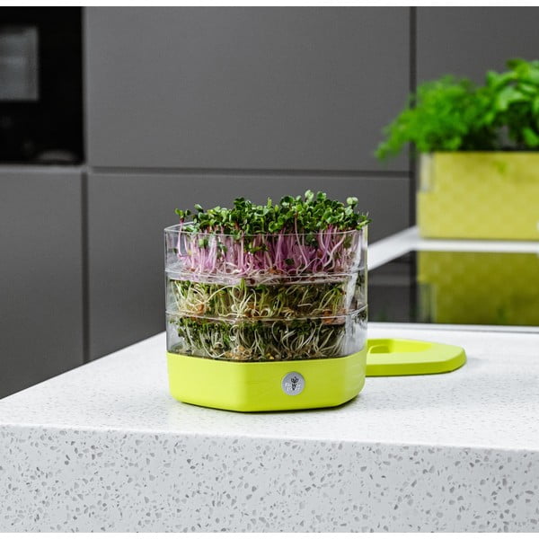 Пластмасова купичка за покълване ø 17 cm Mungo – Flower Lover-image-4