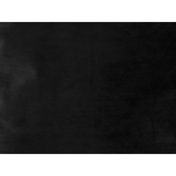 Възглавница от черно кадифе Tender, 40 x 40 cm - PT LIVING-image-3