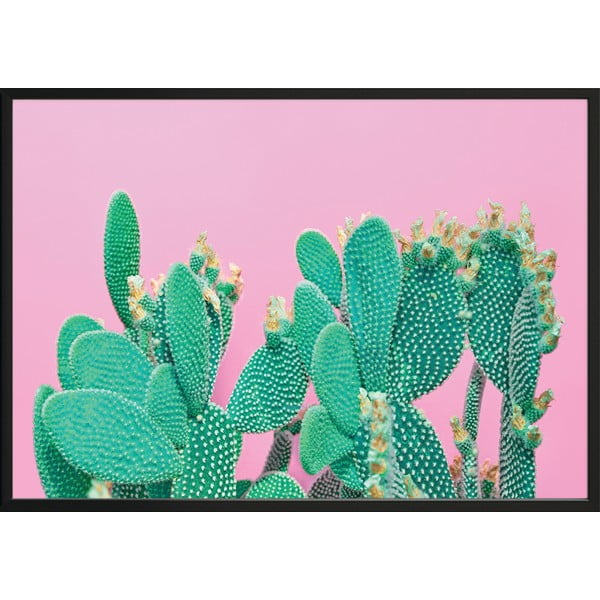 Плакат за стена в рамка CACTUS, 70 x 100 cm Cactus - DecoKing