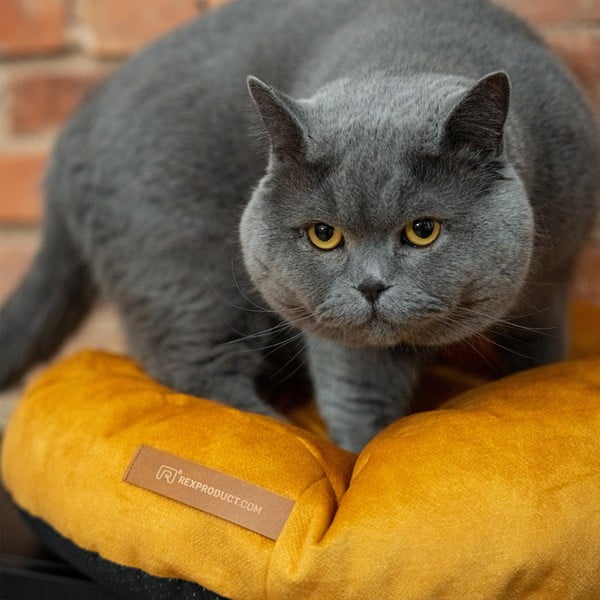 Жълт матрак за куче ø 50 cm Coco S - Rexproduct-image-3