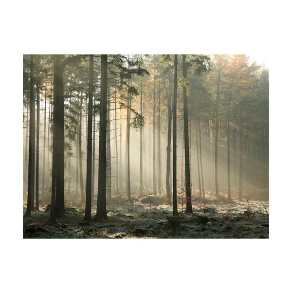 Широкоформатен тапет , 200 x 154 cm Foggy November Morning - Artgeist