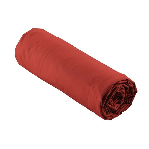 Еластичен чаршаф от памук перкал тухлен 180x200 cm Percaline – douceur d'intérieur-image-4