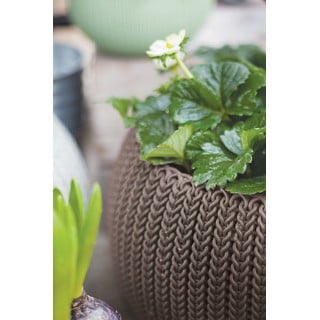 Пластмасова висяща и стенна саксия за цветя ø 36 cm Cozy – Keter