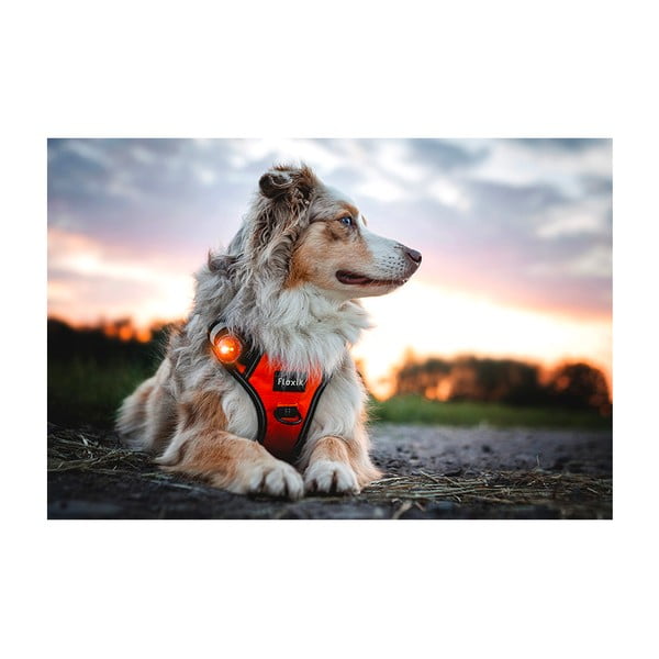 LED светлина за яка Amber - Orbiloc-image-4