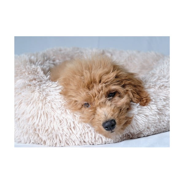 Кремаво легло за куче ø 55 cm – Love Story-image-3