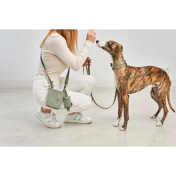 Торбичка за лакомства Gusto Grolive – MiaCara-image-4