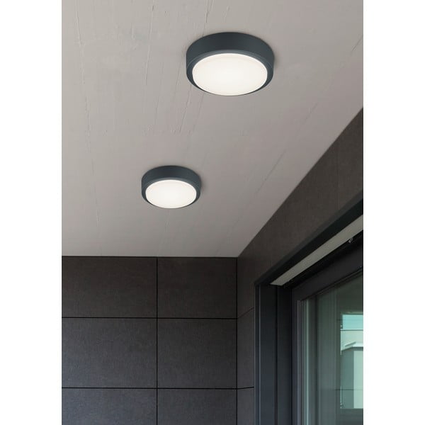 LED външно стенно осветление ø 20 cm Berg - Trio-image-3