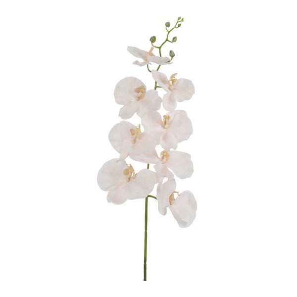 Růžová dekorativní orchidej J-Line