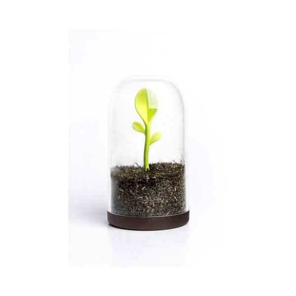 Dóza se lžičkou Qualy&CO Sprout Jar