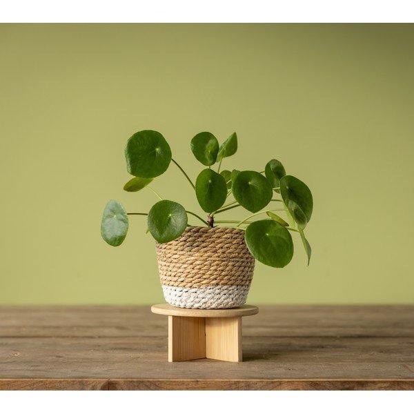 Бамбукова стойка за цветя ø 18 cm – Esschert Design-image-3