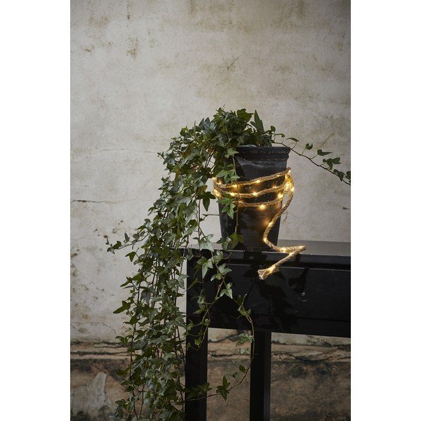 Кафява LED светлинна верига, дължина 2 м Jutta - Star Trading-image-1