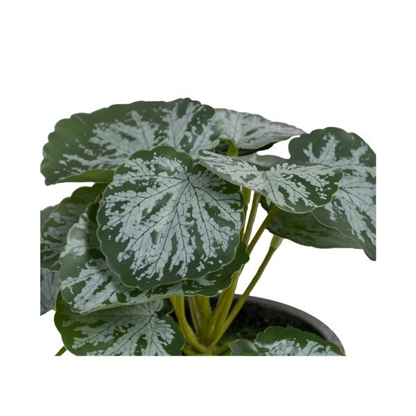 Изкуствено растение (височина 21,5 cm) Saxifraga – Ixia-image-1