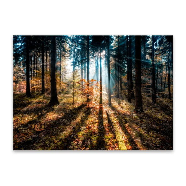 Картина Glasspik , 70 x 100 cm Autumn Sunset - Styler