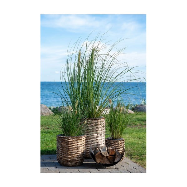 Комплект саксии 3 бр. от воден зюмбюл ø 49 cm Hanoi – House Nordic-image-1