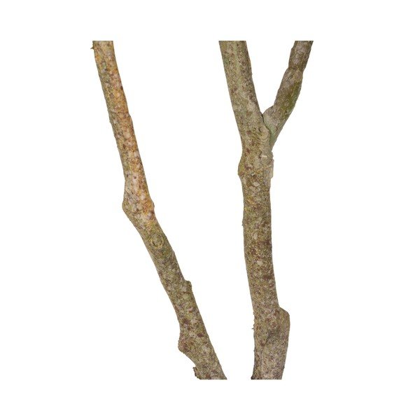 Изкуствено растение (височина 116 cm) Oak Tree – Ixia-image-4