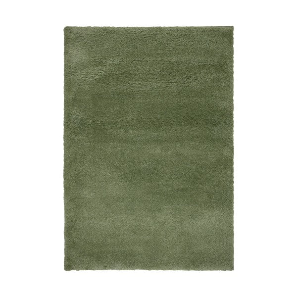 Зелен килим 160x230 cm - Flair Rugs