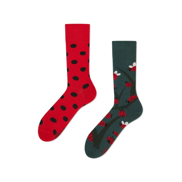 Чорапи Dots & Bugs, размер 35-38 - Many Mornings
