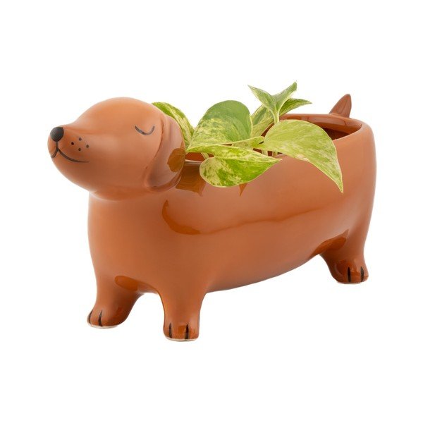 Керамично покритие за кашпа Sausage Dog – Sass & Belle-image-4