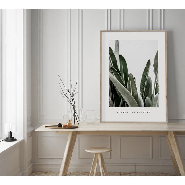 Картина 50x70 cm Strelitzia – Styler-image-1