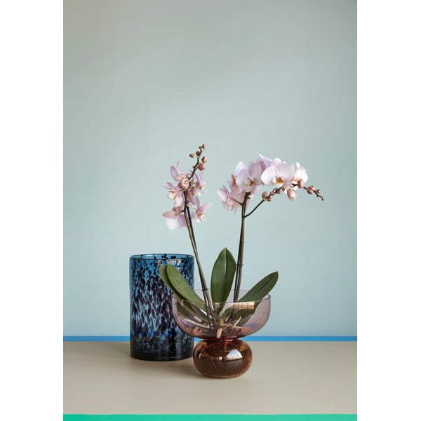 Комплект от 2 стъклени вази Hazy - Hübsch-image-1