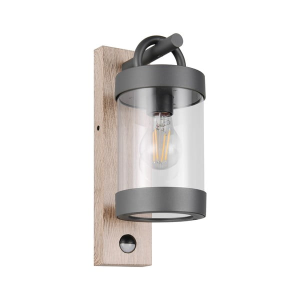 Стенно външно осветително тяло (височина 33 cm) Sambesi – Trio