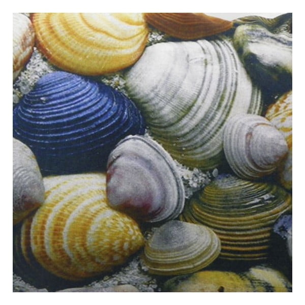 Polštář Shell, 60x40 cm-image-1