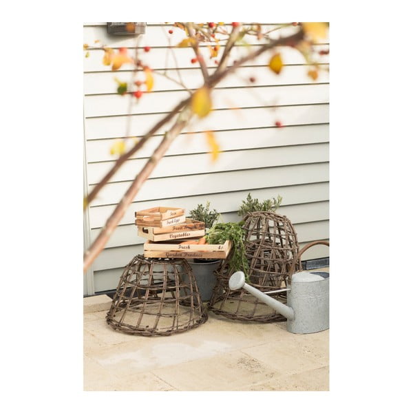 Стойка за сол и пипер от акациева дървесина Glorious Acacia - T&G Woodware-image-2