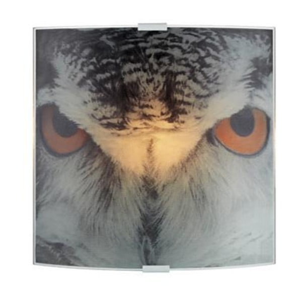 Nástěnné svítidlo Markslöjd Owl