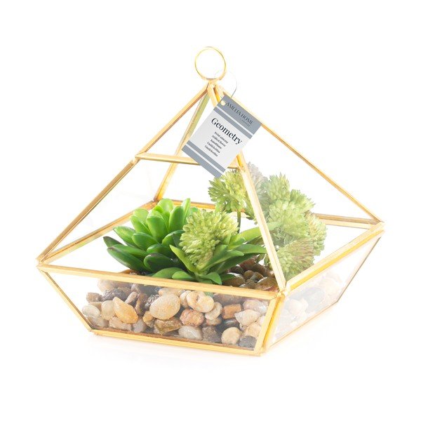 Изкуствен сукулент (височина 15,5 cm) Geometry – AmeliaHome