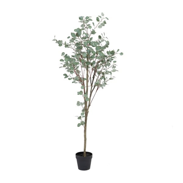 Изкуствен евкалипт (височина 180 cm) Eucalyptus – Ixia