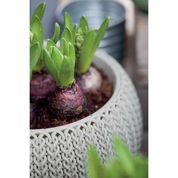 Пластмасова висяща стенна саксия за цветя ø 36 cm Cozy – Keter-image-1